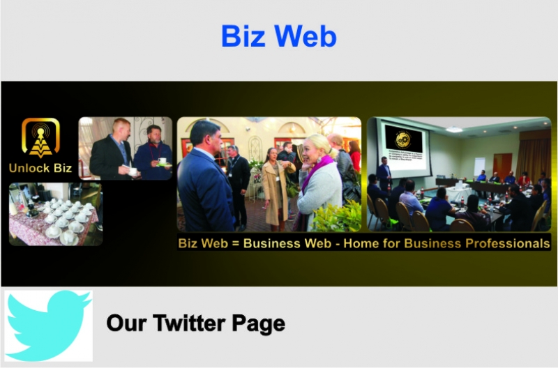 Biz Web
